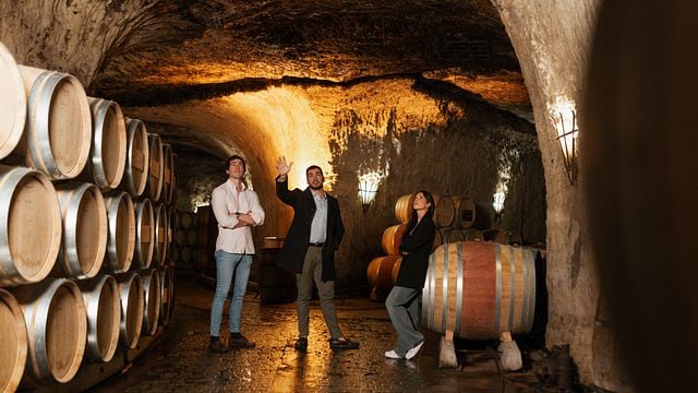 Un voyage à travers les vignobles et les caves de la Sierra Cantabria