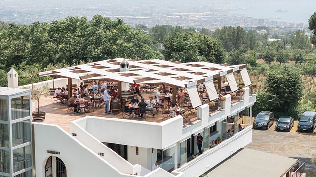 Cantina Del Vesuvio Winery