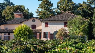 Emilia-Romagna Wine & Vineyard Tour at Cleto Chiarli