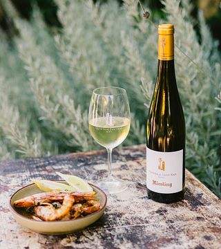 Lisbon Vineyard Reserve Tasting & Tour