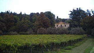 Expérience unique à Villa San Carlo