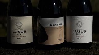 Juego de degustación