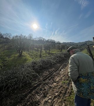 Degustação de vinhos biodinâmicos/naturais