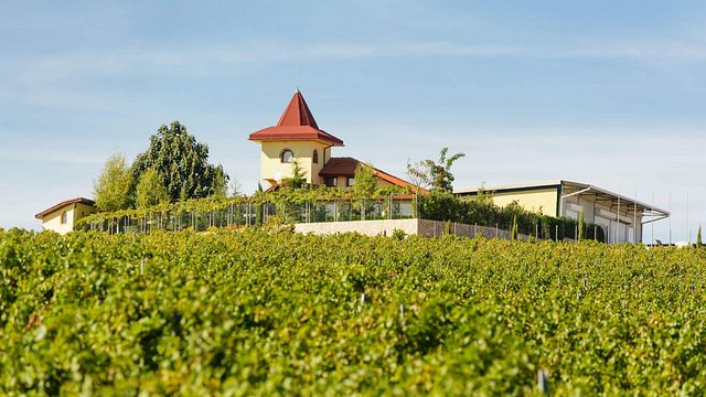 Struma Valley Wine & Vineyard Adventure at Rupel