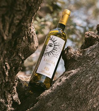 Moroder Winery