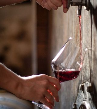 Dégustation de vins et visite chez Dacapo Cà Ed Balos