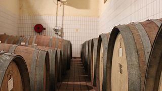 Weinprobe und Tour bei I Girasoli Di Sant'andrea