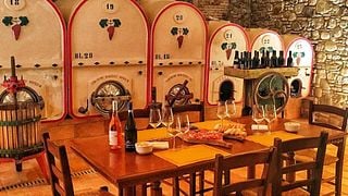Degustação de vinhos e tour na Cantina Ceresa
