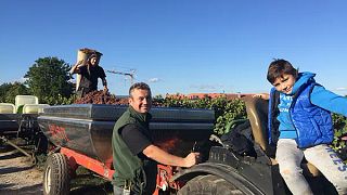 Dégustation et visite des vins du Domaine Jean-Louis Schoepfer