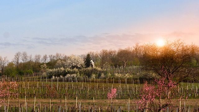 Mariel Winery
