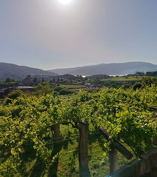 Vigo: Experiência de comida e vinho no campo