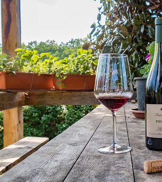 Cata y visita de Nebbiolo en Poderi Vaiot