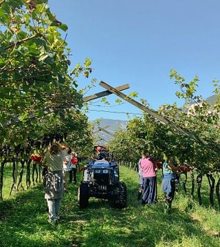 Weinprobe im Cantina Martinelli