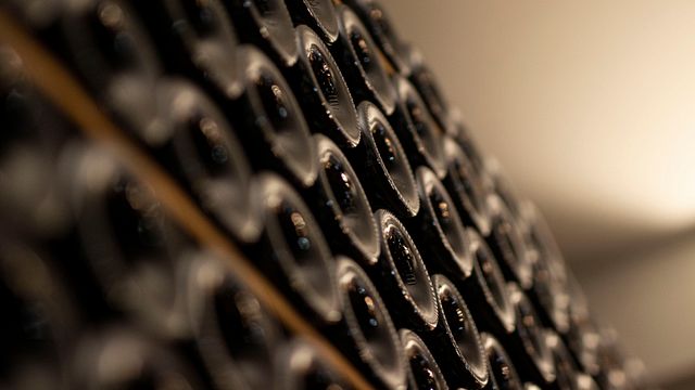 Dégustation de vins et visite de la vigne et de la cave à Quinta da Falorca