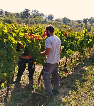 Villa Raiano Winery