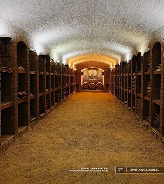 Aconcagua Premium Wine & Culture Journey