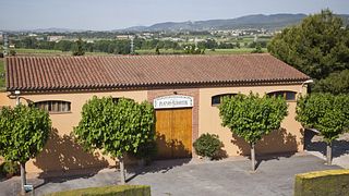Caves Planas Albareda
