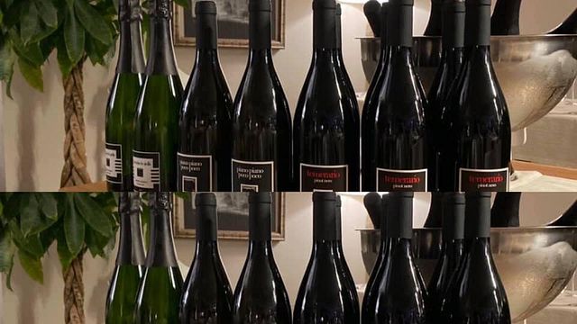 Degustação de vinhos e tour em Casavyc