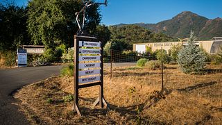 Verkostung von Schaumweinen und Olivenöl im Weingut und Olivenmühle Terra Sávia