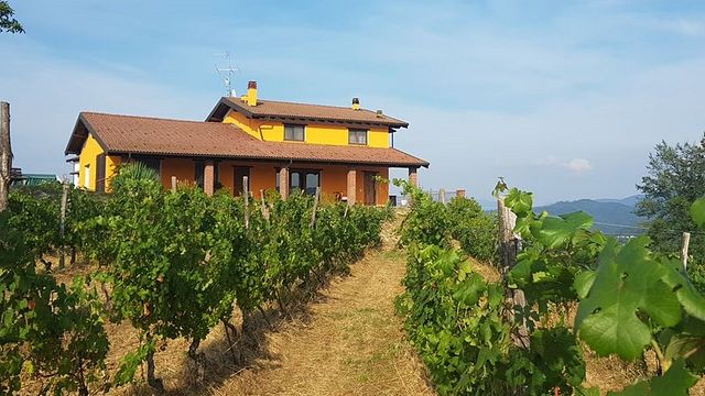 TOUR DES VINS CLASSIQUE 