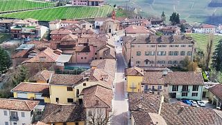  Tour privado en bicicleta eléctrica " Langhe del Barbaresco " - Solo asfalto