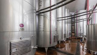 Cata de vinos IBERIULI Premium y visita a la bodega Shumi