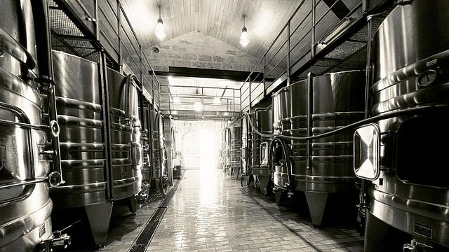 Cata de vinos y visita al Château Bourseau