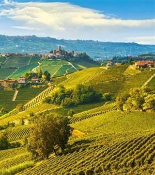 Degustação de vinhos e visita à adega