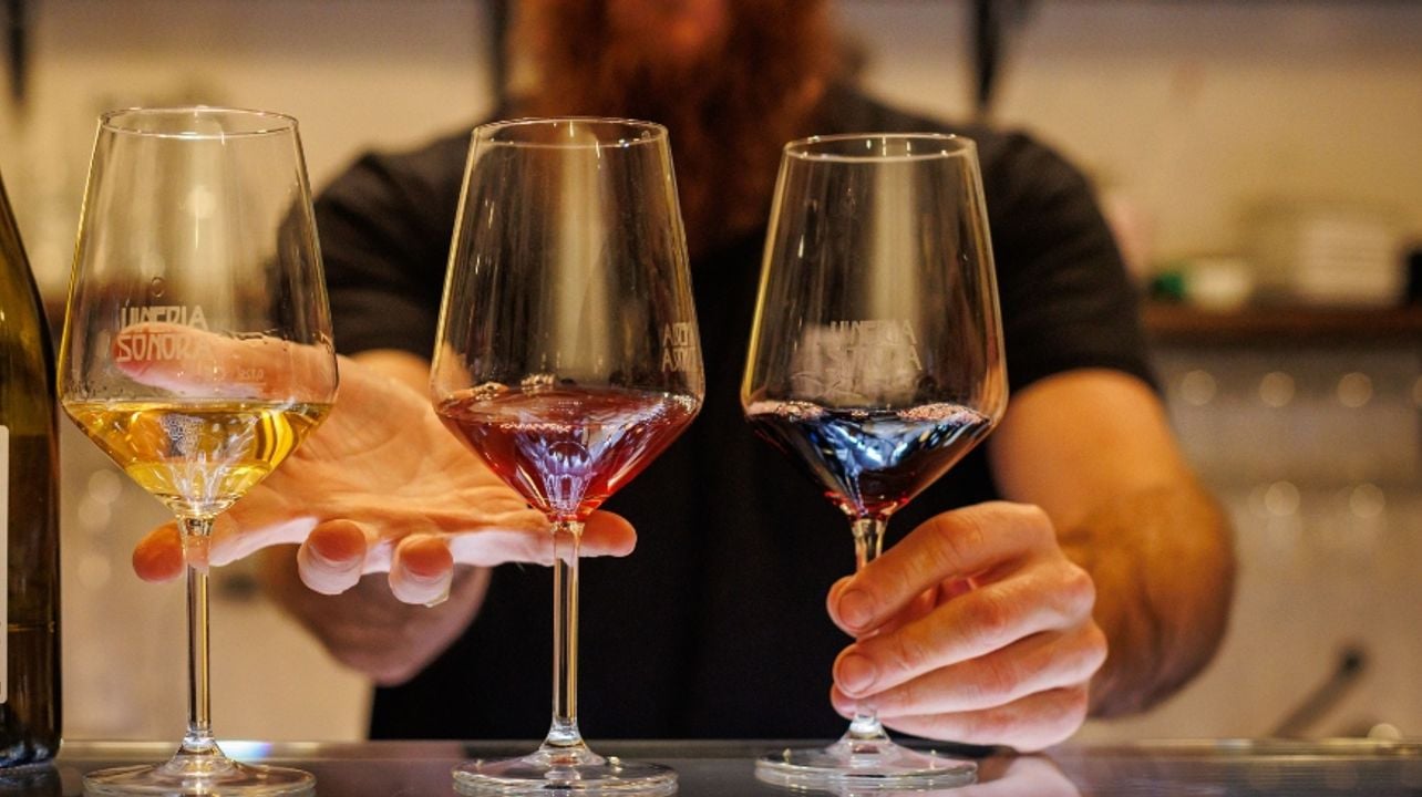 Natural Vino & Vinyl in Florence