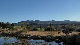 Visita e degustação de vinhos em Terradicreta