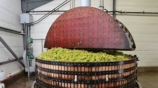 Degustazione e tour di champagne allo Champagne Guy de Chassey