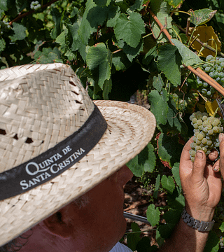 Dégustation de vins classiques à la Quinta de Santa Cristina