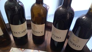 Weinprobe und Tour bei Vini Apuani