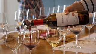 En minnesvärd rundtur på Finca Antigua för vinprovning med sina lokala delikatesser