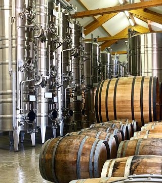 Degustazione di vini e tour popolari allo Champagne Vincent D'Astree
