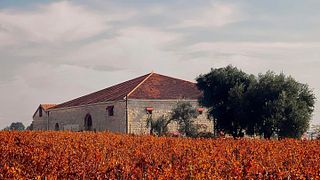 Domaine Des Tourelles