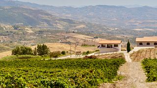 Vertikale Verkostung von Nero d'Avola im Weingut Di Giovanna