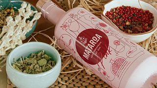 Gin- und Weinverkostungstour mit Mittagessen
