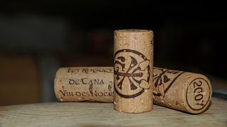 Wine tasting and tour at Domaine Les Roques de Cana