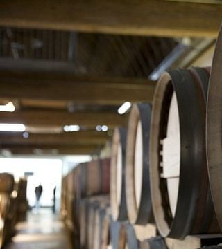 Degustação de vinhos e tour no Weingut Hans Igler