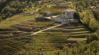 Galicia’s Heroic Wines: Vía Romana Tasting & Vineyard Tour