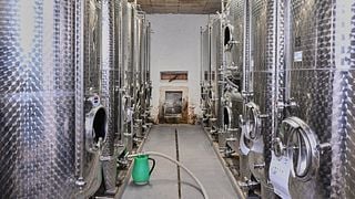Dégustation de vins et visite de la cave du Weingut Mertz