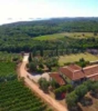 Dégustation et visite de vins de luxe à Collis