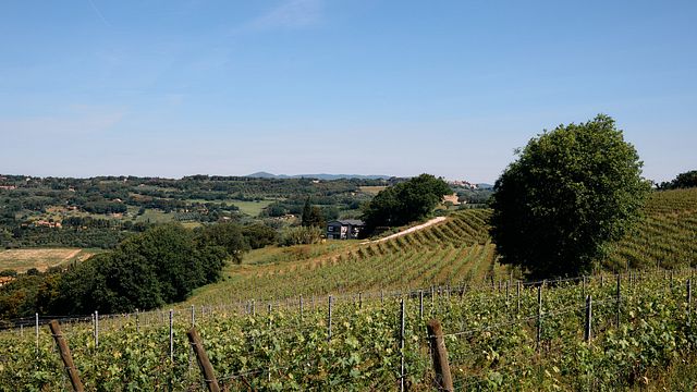 Azienda Agricola Toscani
