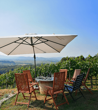 Degustazione privata di vini presso una cantina boutique nella Dolenjska
