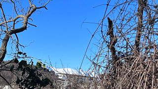 The Valpolicella food & wine driving tour: cheese factory + winery