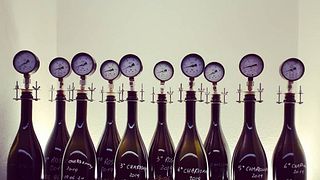 Degustação de vinhos na vinícola Zanotelli