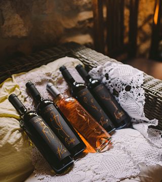 Dégustation de vins végétaliens au domaine Krolo