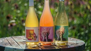 Kosmos Winery