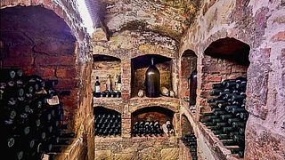 Piedmont Wine & Vineyard Tour at Marco Canato